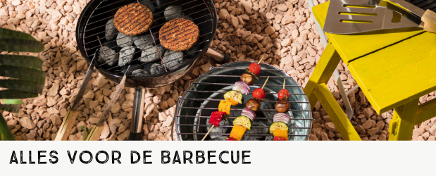 barbecue bbq braai