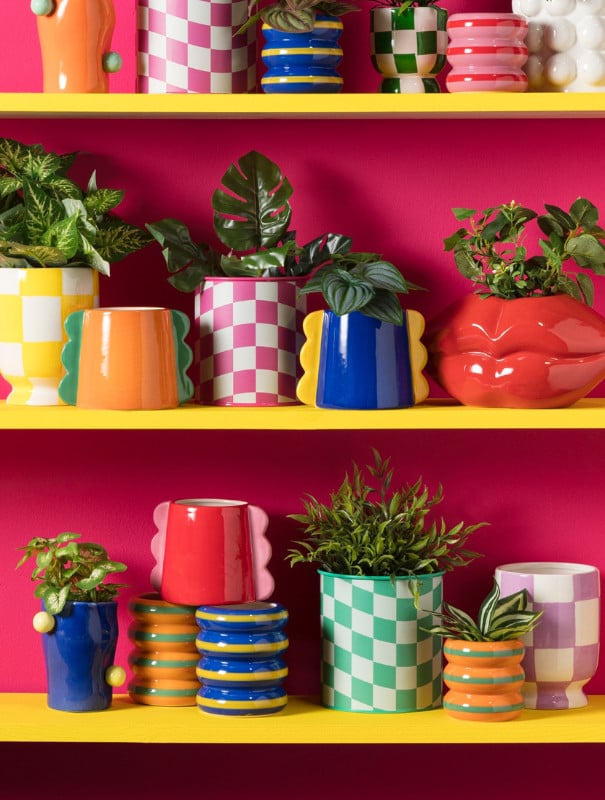 Potten en planten | Xenos