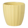 Cup geschulpt - sunny - 200 ml
