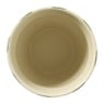 Cup gestreept - ml - diverse varianten