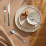 Bestekset Amefa Linen - zilverkleurig - 24-delig - 6 persoons