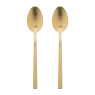 Tafellepels - goudkleurig - set van 2