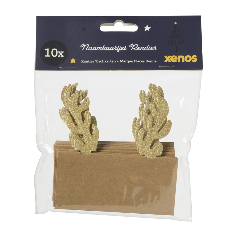 Naamkaartjes rendier - 10x8 cm - set van 10