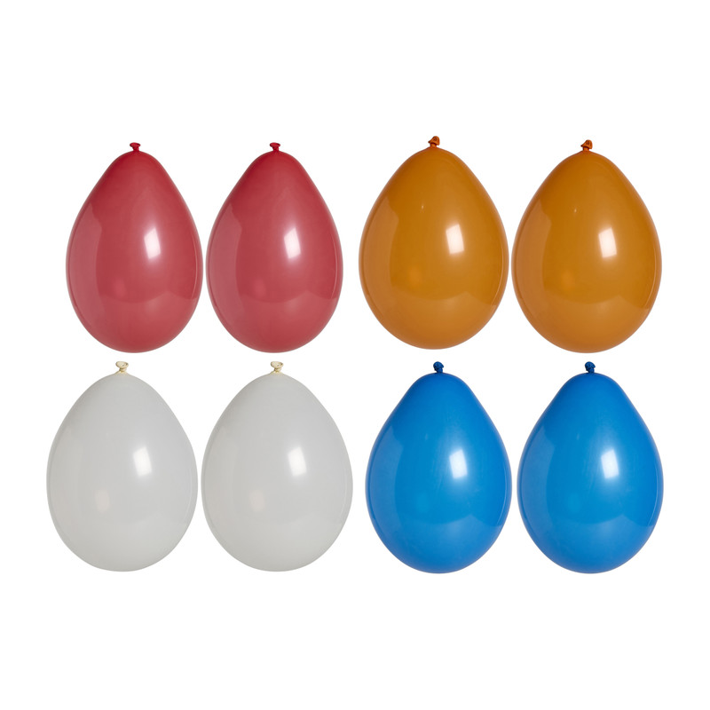 Ballonnen - multikleur - set van 12