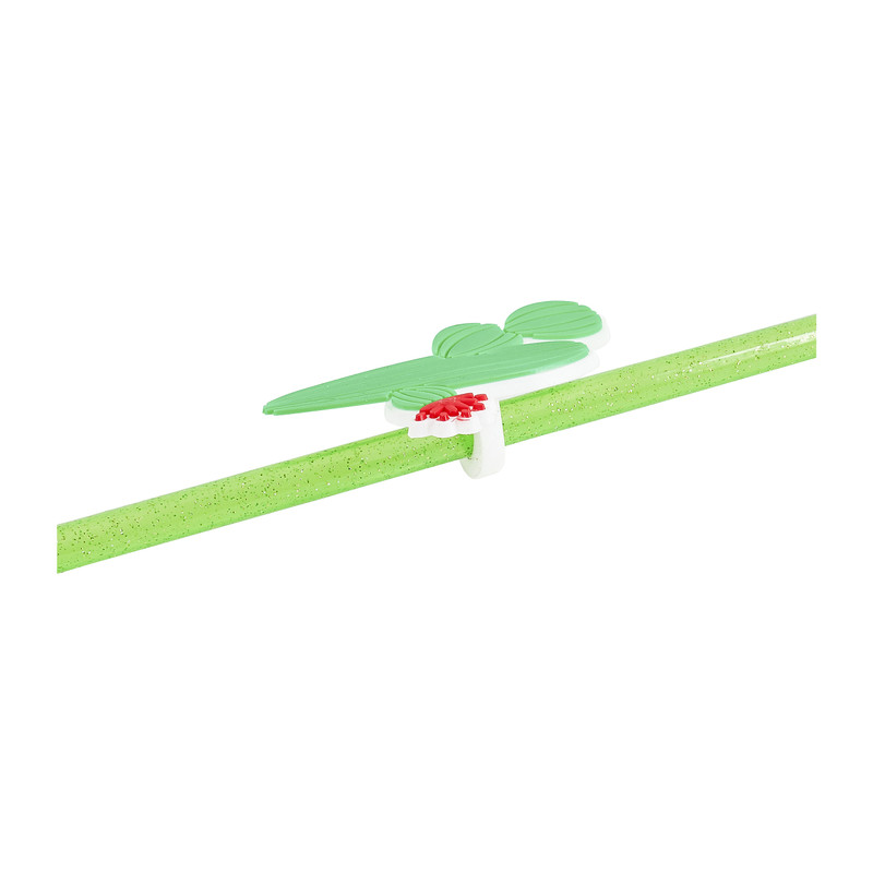 Rietjes cactus - set van 4