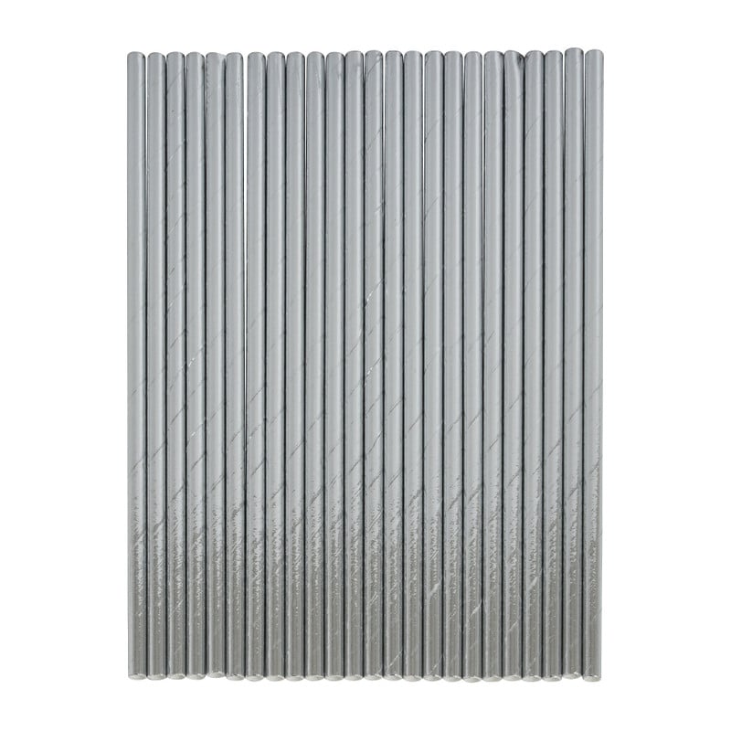 Rietjes zilver - set van 24