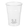 Plastic bierglazen - 250 ml - set van 12