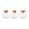 Mini voorraadpotje met kurk - set van 3 - 5 ml