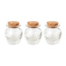 Mini voorraadpotje met kurk - set van 3 - 5 ml
