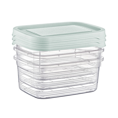 Vershoudbakjes - 500 ml - set van 3