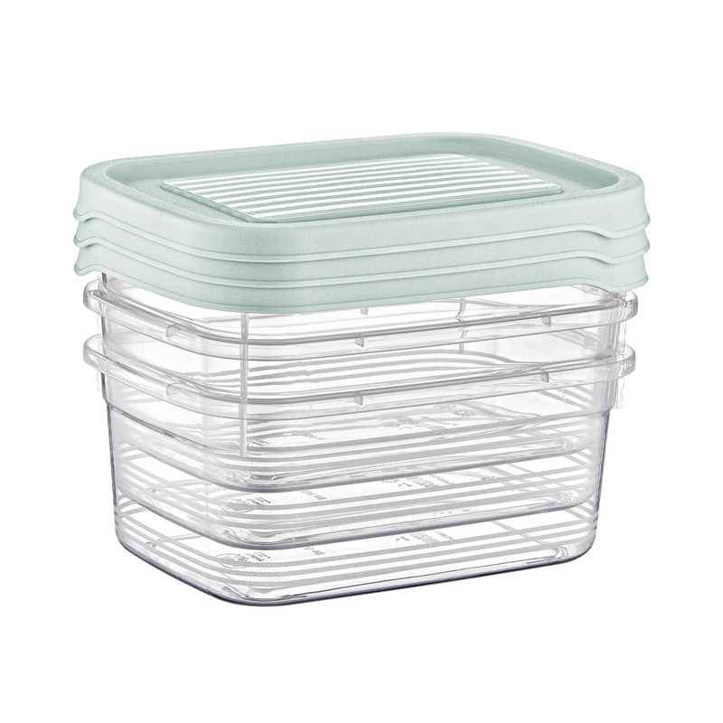 Vershoudbakjes - 500 ml - set van 3