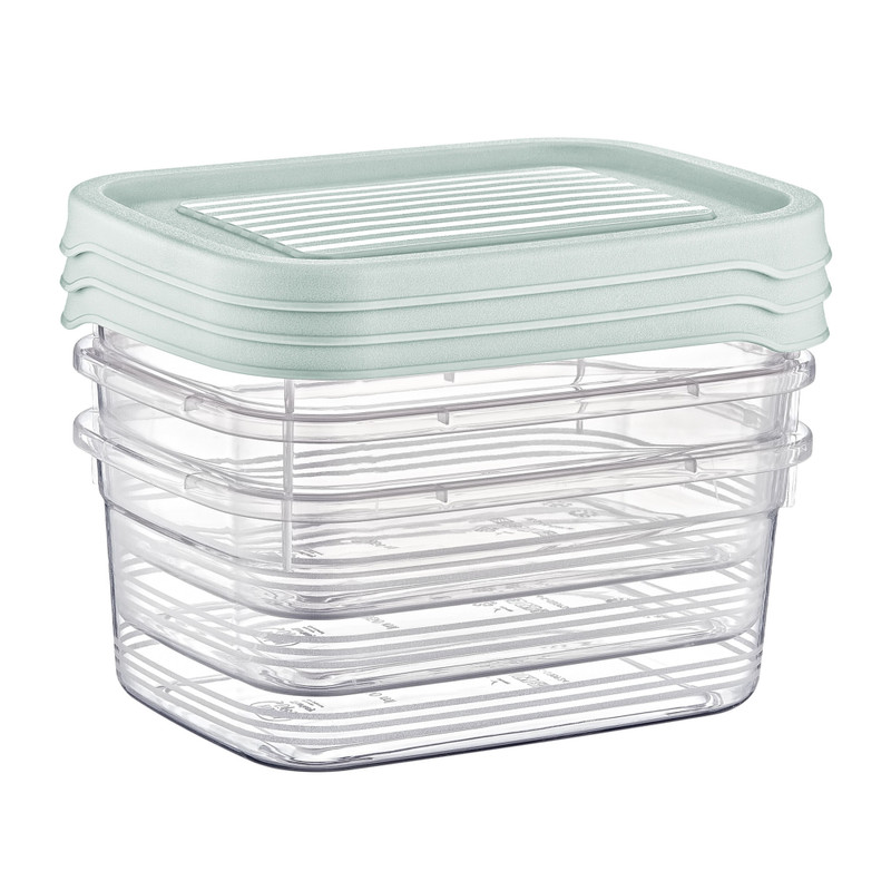 Vershoudbakjes - 850 ml - set van 3