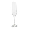 Champagneglas - 19,5 cl
