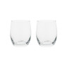 Water/whiskey glas - 30 cl - set van 2
