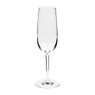 Champagneglas Vinello - 21 cl - set van 3