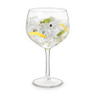 Gin tonic glas - 650 ml - set van 4