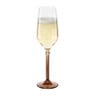 Champagneglas royal - bruin - 220 ml
