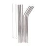 Rietjes RVS  met 2 borstels - herbruikbaar - set van 8