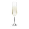 Champagneglazen kristal - 200 ml - set van 4
