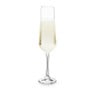 Champagneglas kristal - set van 4 - 200 ml