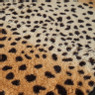 Plaid luipaard - 130x170 cm