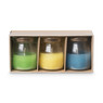 Citronella kaars in glas - set van 3