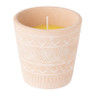 Citronella kaars terra - diverse varianten 