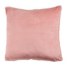 Sierkussen colibri - roze - 45x45 cm 