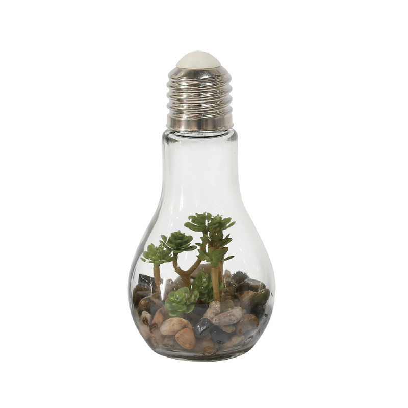 essay etiquette Patois Decoratie LED lamp met plant - diverse varianten | Xenos
