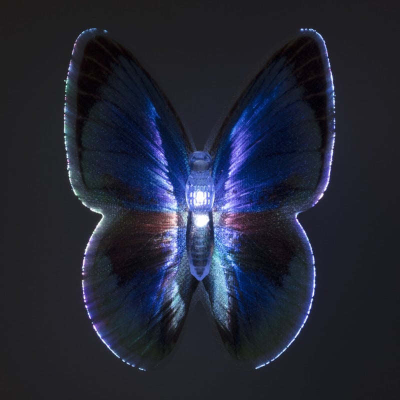 Vlinderlampjes - diverse varianten - 10x9.5x5.5 cm