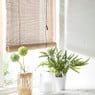 Bamboe rolgordijn - naturel - 60x180 cm