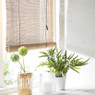 Bamboe rolgordijn - naturel - 90x180 cm