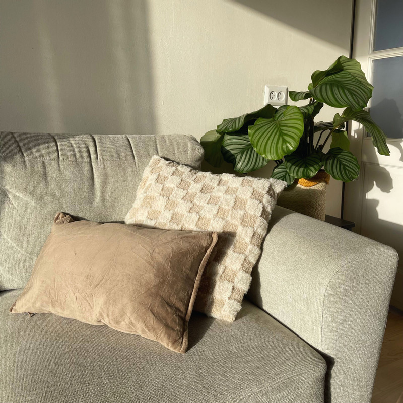 Kussen velvet - bruin - 30x50 cm