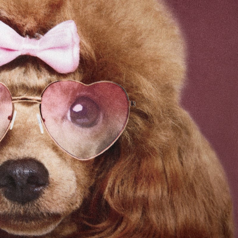 Kussen poedel - roze - 45x45 cm