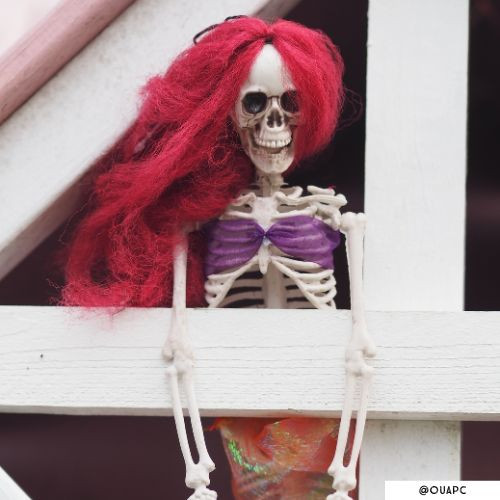 Skelet zeemeermin - diverse varianten - 8.5x5.5x42 cm