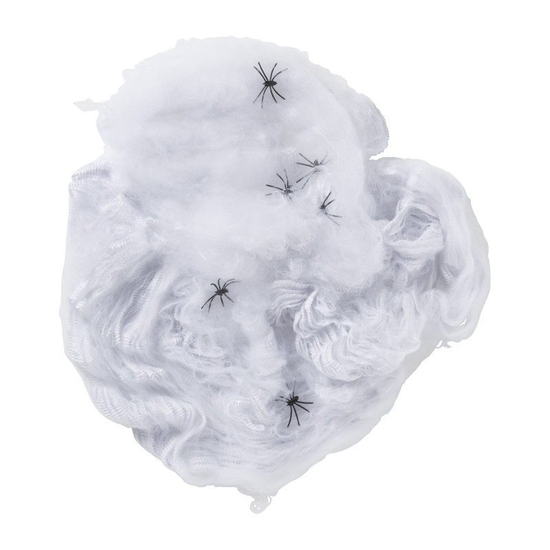 Spinnenweb met 6 spinnen - wit/zwart 