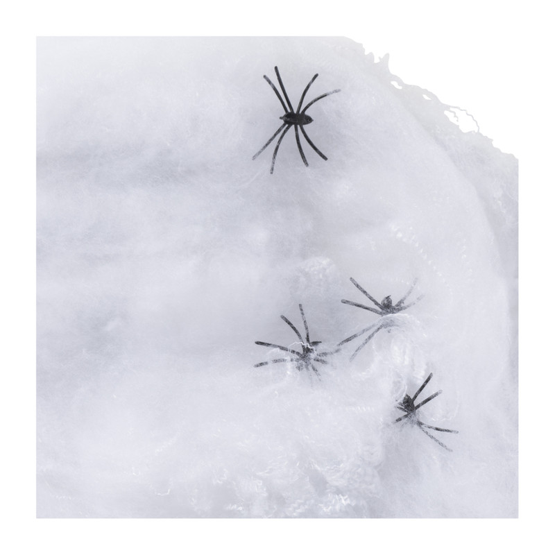 Spinnenweb met 6 spinnen - wit/zwart 