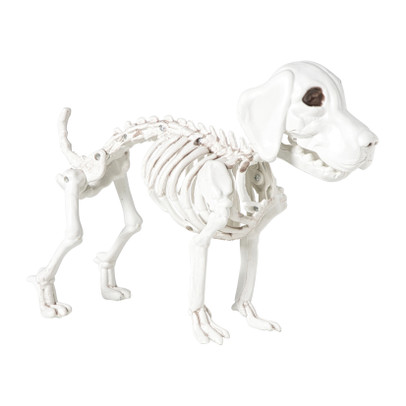 Halloween decoratie hondenskelet - wit - 21x27x12 cm