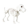 Halloween decoratie hondenskelet - wit - 21x27x12 cm
