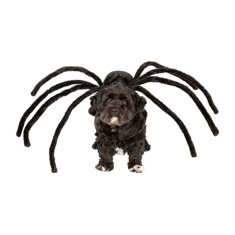 Schat Ochtend gymnastiek Grootste Hondenpakje met spinnenpoten | Xenos