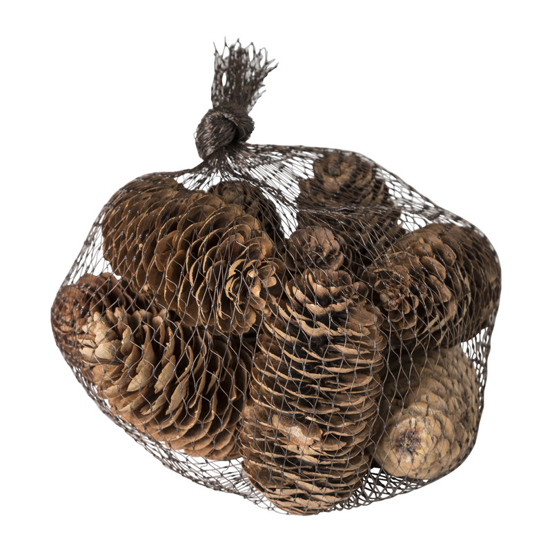 Dennenappel - 9 stuks 