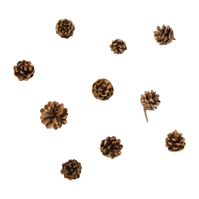 Dennenappels - bruin - set van 10