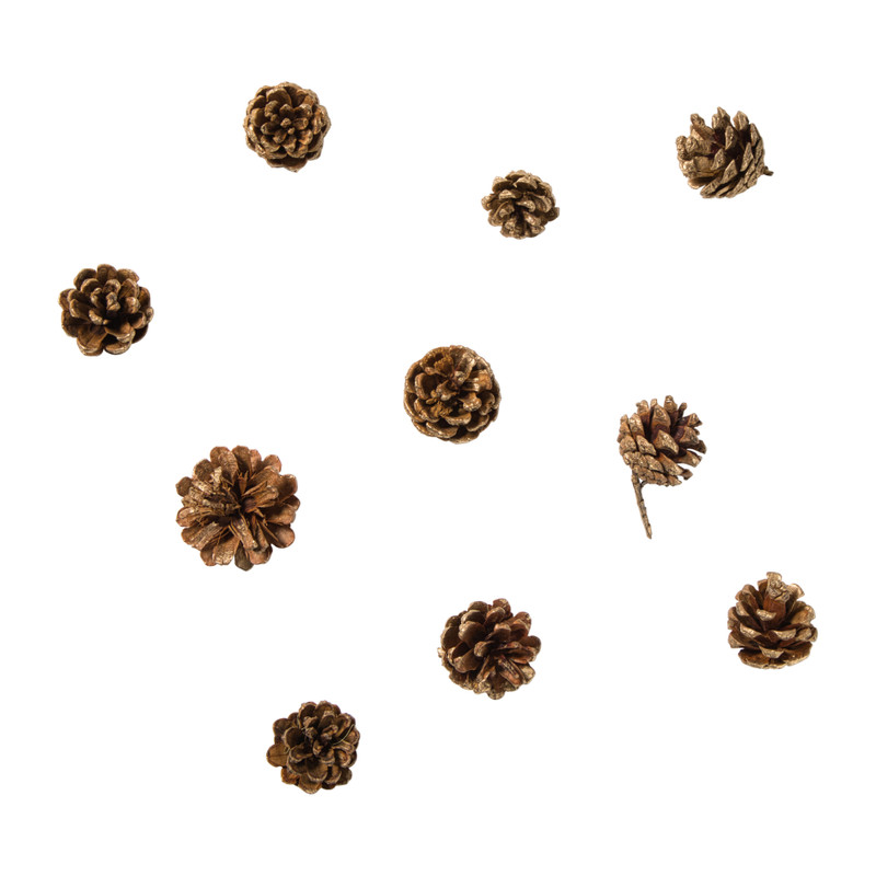 Dennenappels - bruin - set van 10