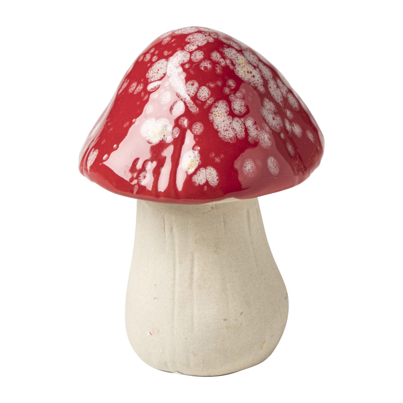 Paddenstoelen - diverse varianten - 10 cm