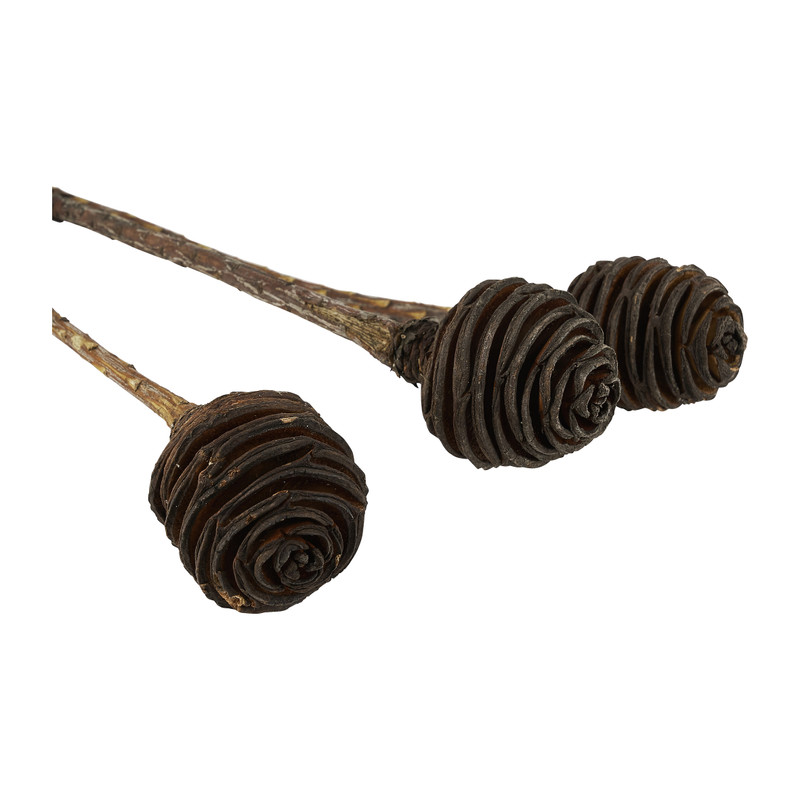 Platyspermum herfstdecoratie - 3 takjes