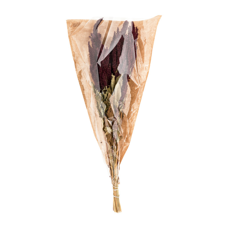 Gedroogde bloem - amaranthus - diverse kleuren