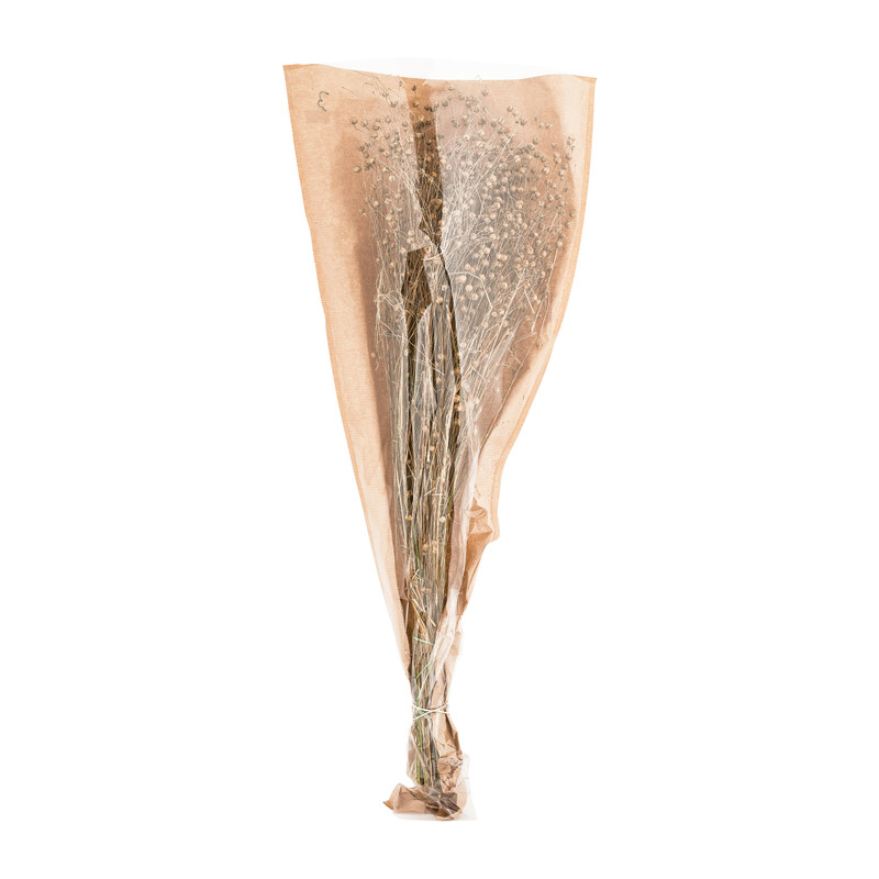 Gedroogde bloem - vlas