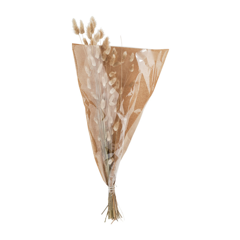 Gedroogde bloem - Lagurus 