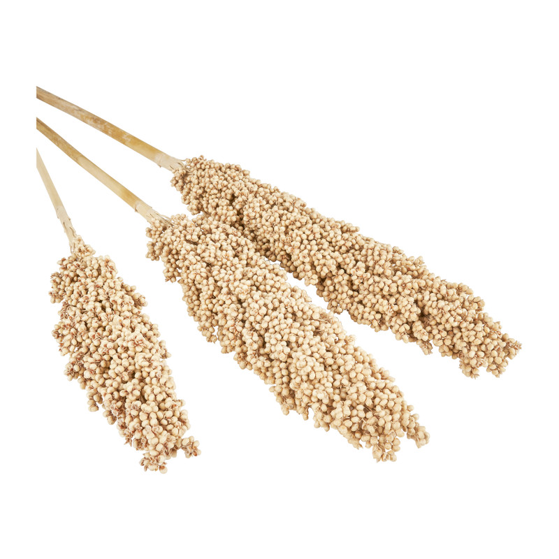 Sorghen blank - 70 cm