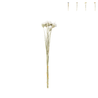 Droogbloemen - diverse varianten - 38 cm